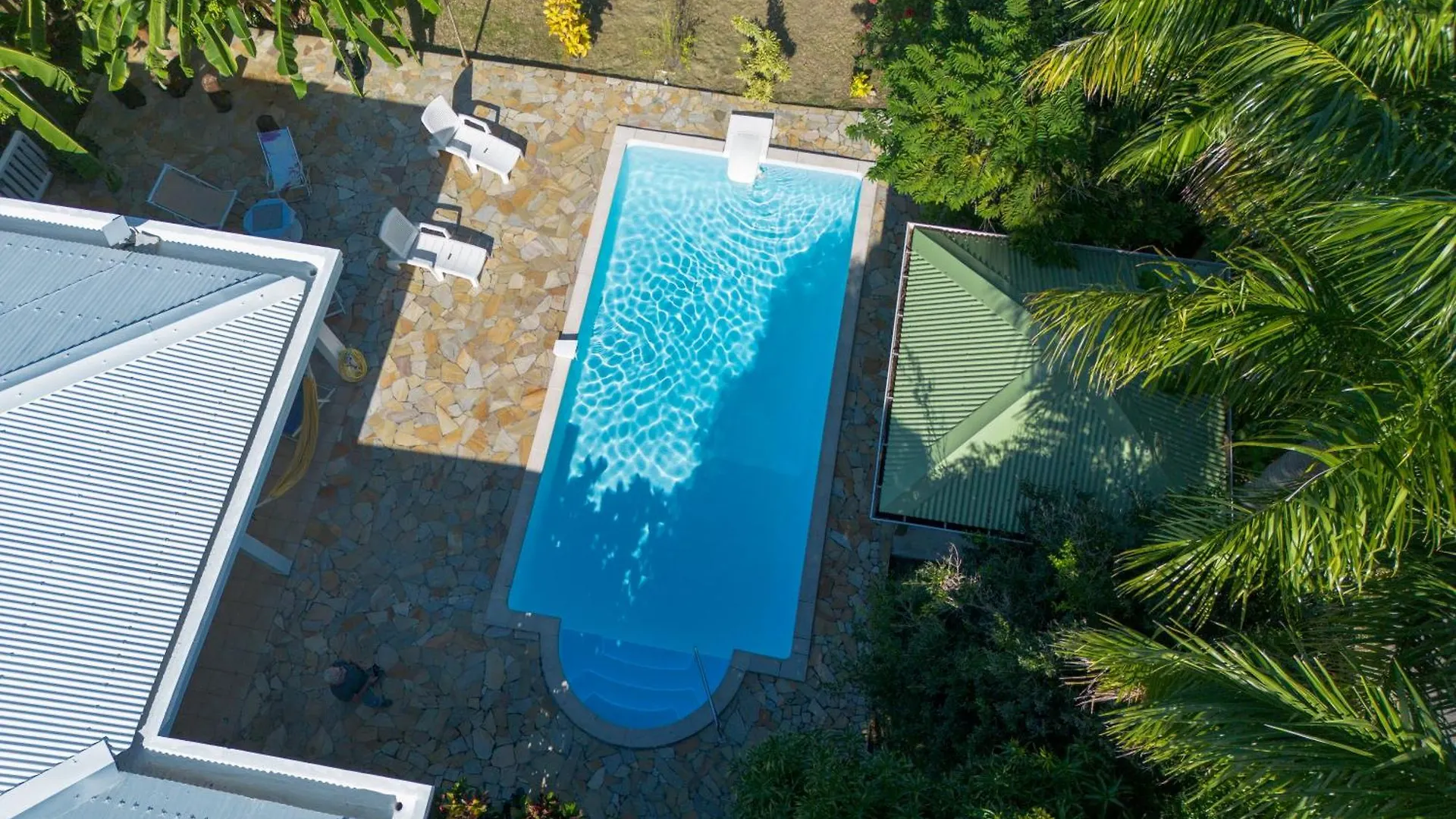 Villa Paradissol Cocon Tropical 3 Chambres Avec Piscine Le Vauclin Martinique